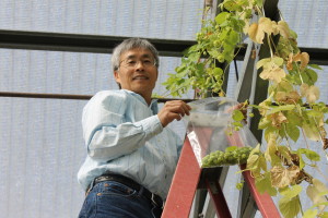 Environmental horticulturist Zhanao Deng. 